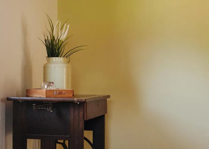 Und Gastwirtschaft Mareile Am Rennsteig 3* Rodacherbrunn